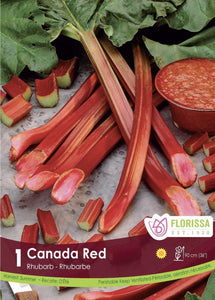 Rhubarb - Canada Red Bulbs, 1 Pack - Floral Acres Greenhouse & Garden Centre