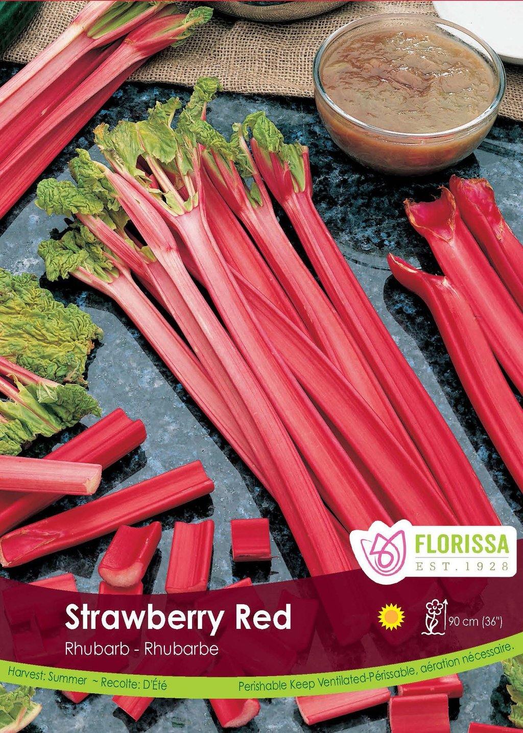 Rhubarb - Strawberry Red Bulbs, 1 Pack - Floral Acres Greenhouse & Garden Centre