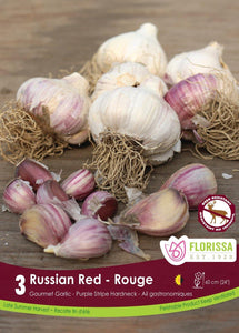 Garlic - Russian Red Bulbs, 3 Pack - Floral Acres Greenhouse & Garden Centre