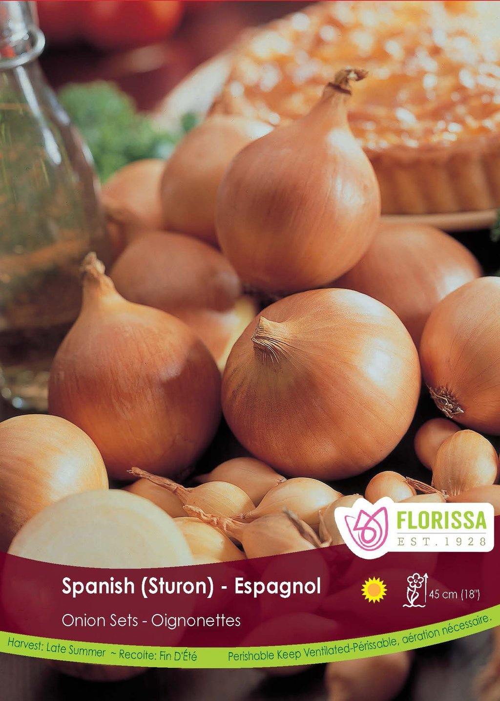 Onion - Sturon Spanish Bulbs, 80 Pack - Floral Acres Greenhouse & Garden Centre