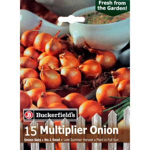 Onion - Multiplier Bulbs, 15 Pack - Floral Acres Greenhouse & Garden Centre
