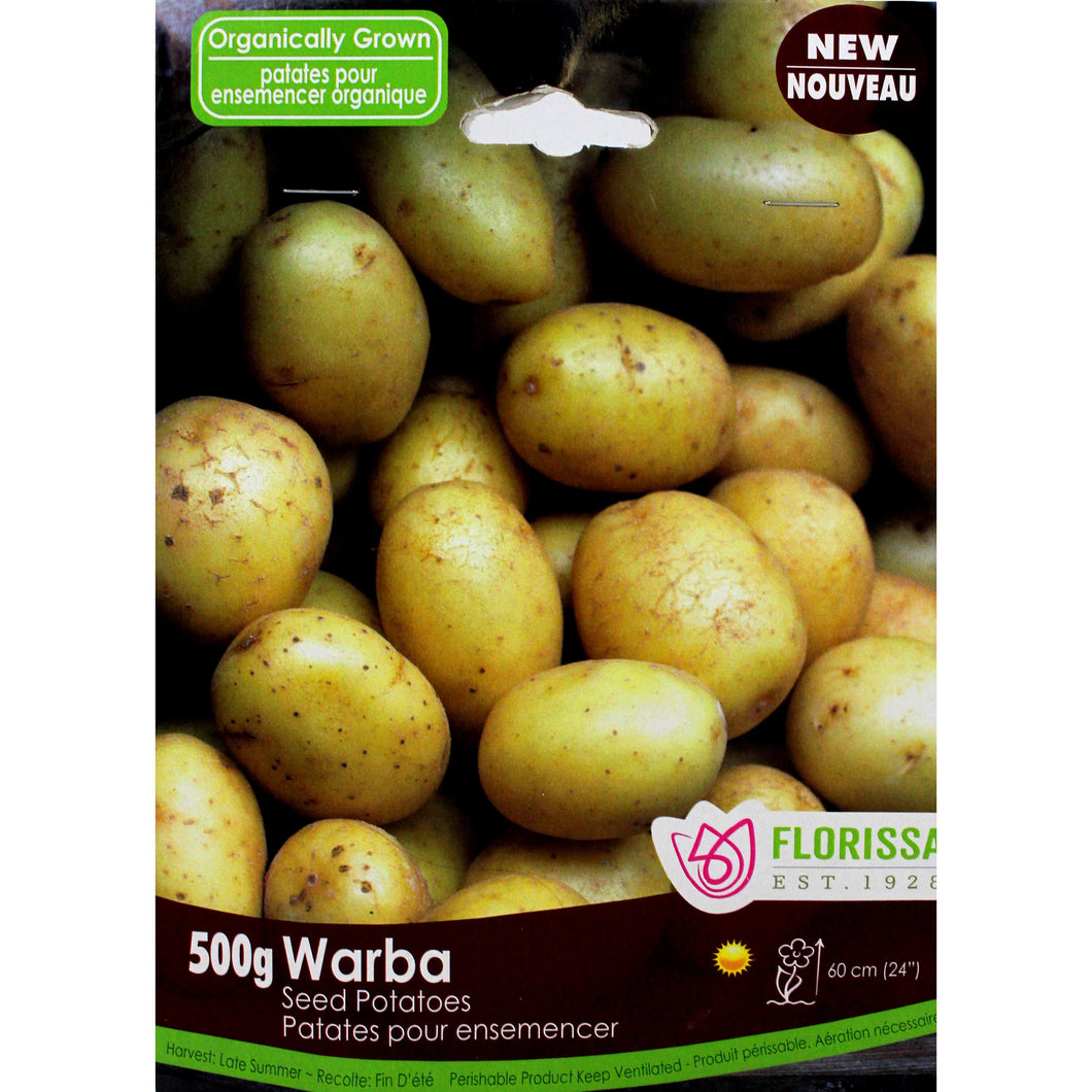 Seed Potato - Warba Organic, VN, 500g Bag - Floral Acres Greenhouse & Garden Centre