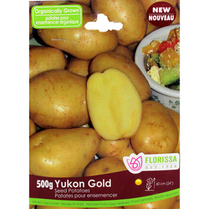 Seed Potato - Yukon Gold Organic, VN, 500g Bag - Floral Acres Greenhouse & Garden Centre