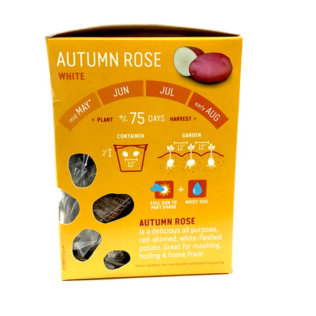 Seed Potato - Autumn Rose, Earth Apples, 1kg Box - Floral Acres Greenhouse & Garden Centre