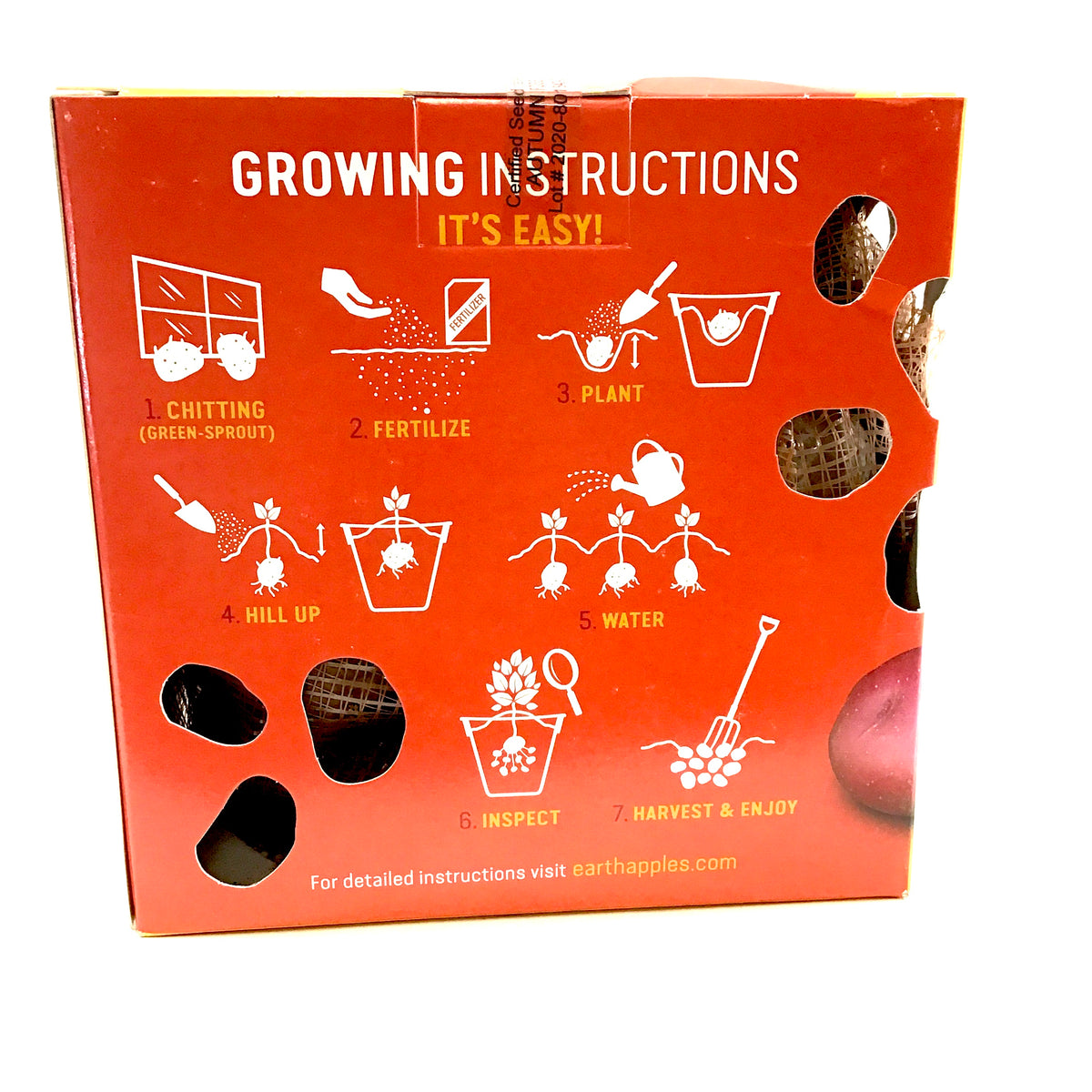 Seed Potato - Autumn Rose, Earth Apples, 1kg Box - Floral Acres Greenhouse & Garden Centre
