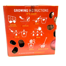 Load image into Gallery viewer, Seed Potato - Autumn Rose, Earth Apples, 1kg Box - Floral Acres Greenhouse &amp; Garden Centre
