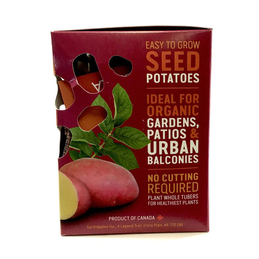 Seed Potato - Labella, Earth Apples, 1kg Box - Floral Acres Greenhouse & Garden Centre