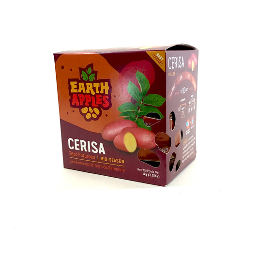 Seed Potato - Cerisa, Earth Apples, 1kg Box - Floral Acres Greenhouse & Garden Centre