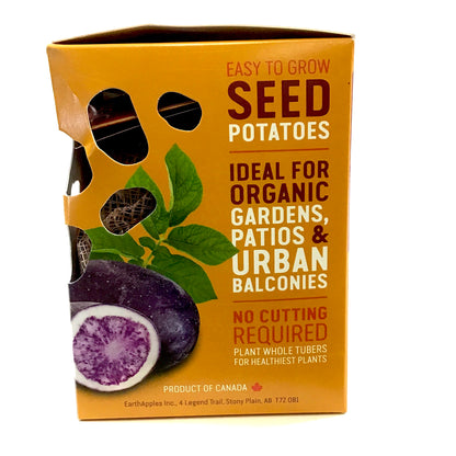 Seed Potato - Purple Magic, Earth Apples, 1kg Box - Floral Acres Greenhouse & Garden Centre