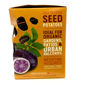 Seed Potato - Purple Magic, Earth Apples, 1kg Box - Floral Acres Greenhouse & Garden Centre