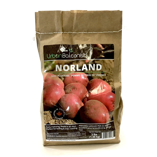 Seed Potato - Norland, Urban Balconist, 3lb Bag - Floral Acres Greenhouse & Garden Centre