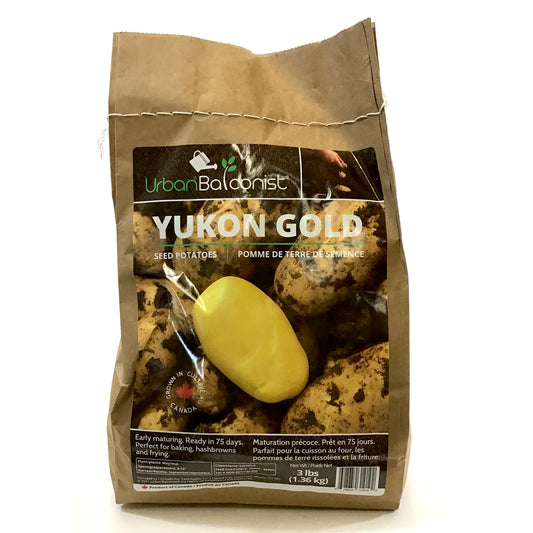 Seed Potato - Yukon Gold, Urban Balconist, 3lb Bag - Floral Acres Greenhouse & Garden Centre
