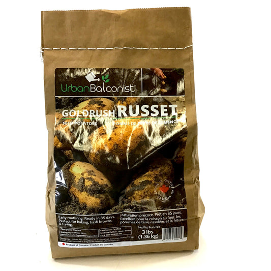 Seed Potato - Goldrush, Urban Balconist, 3lb Bag - Floral Acres Greenhouse & Garden Centre