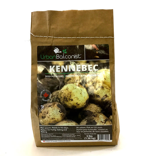 Seed Potato - Kennebec, Urban Balconist, 3lb Bag - Floral Acres Greenhouse & Garden Centre