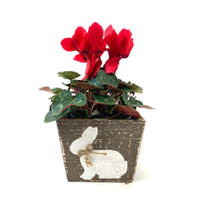 Load image into Gallery viewer, Easter Planter, 4in Bunny Box - Floral Acres Greenhouse &amp; Garden Centre
