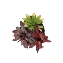 Load image into Gallery viewer, Chick Charms® Trio, Candied Campfire™ Hen &amp; Chicks
