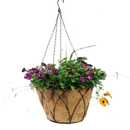 Hanging Basket, 18in, Coco Coir, Assorted