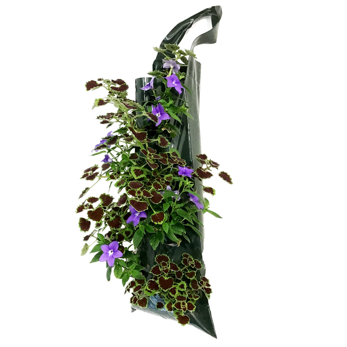 Planter, Flower Bag, Assorted
