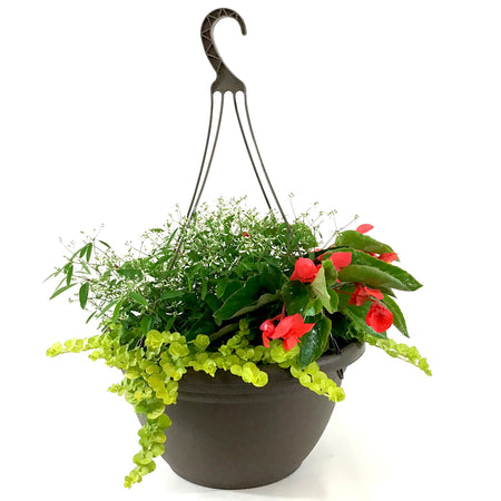 Hanging Basket, 14in, Spring Combo, Assorted