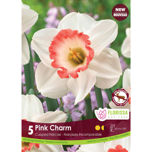 Narcissi, Cupped - Pink Charm Bulbs, 5 Pack