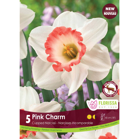 Narcissi, Cupped - Pink Charm Bulbs, 5 Pack