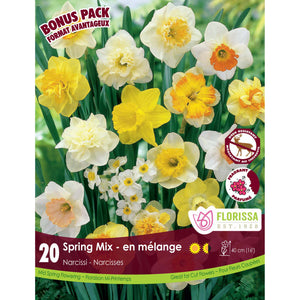 Narcissi - Spring Mix Bulbs, 20 Pack