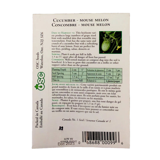 Cucumber - Mouse Melon/Cucamelon Seeds, OSC