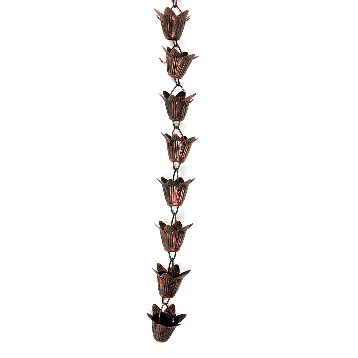 Rain Chain, Lotus Cup, Bronze, 96in