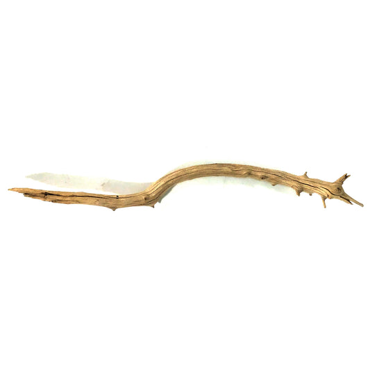 Manzanita Wood, for Nano Tanks, Up to 12in