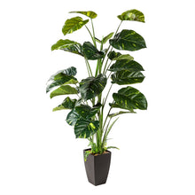 Load image into Gallery viewer, Artificial Plant in Pot, Golden Pothos
