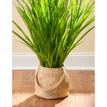 Load image into Gallery viewer, Artificial Plant in Pot, Onion Grass
