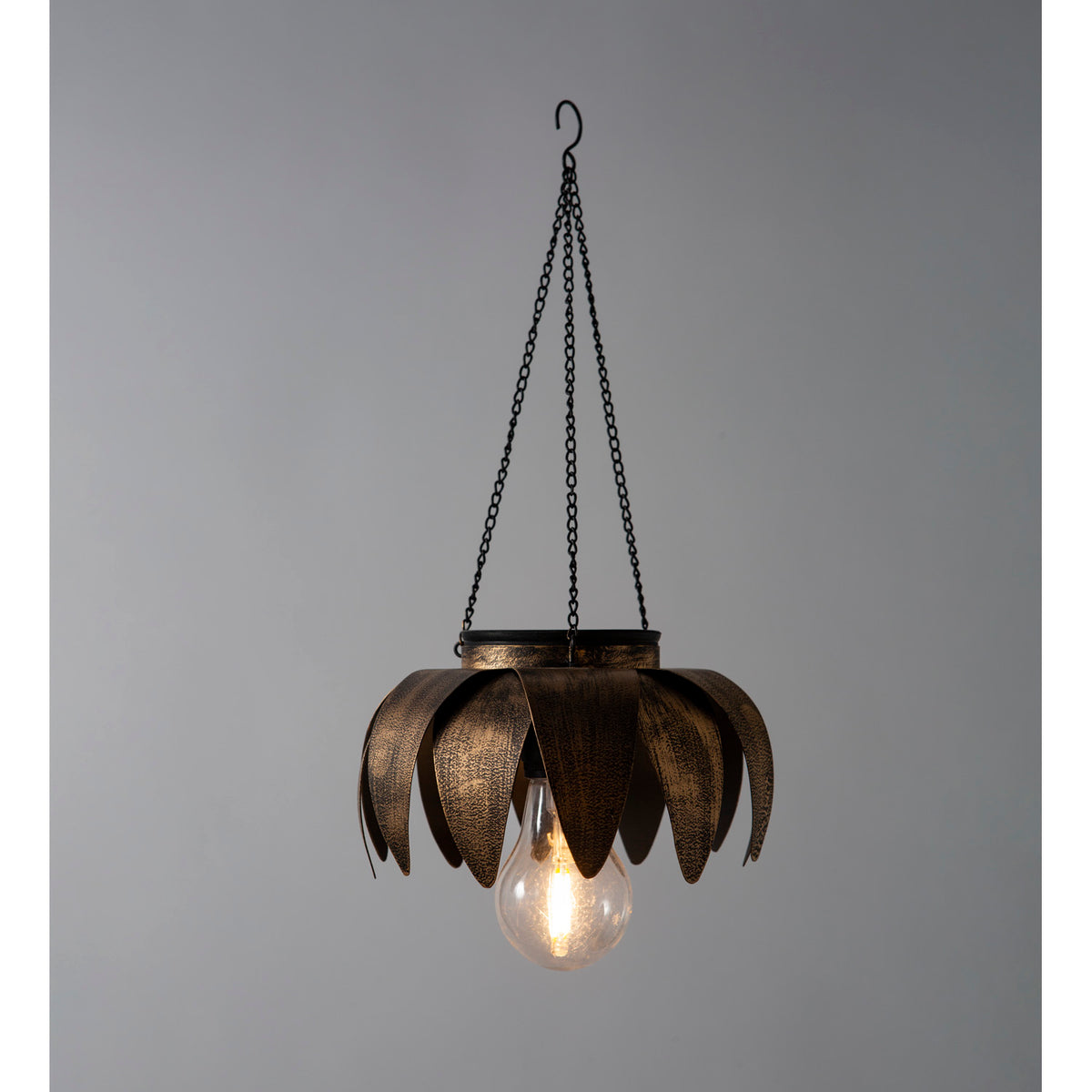 Antiqued Metal Hanging Light, Daisy