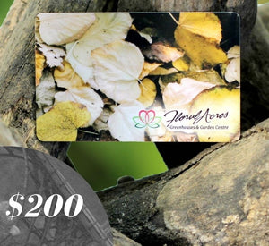Physical Gift Card, $200.00 - Floral Acres Greenhouse & Garden Centre