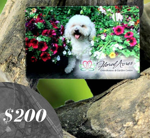 Physical Gift Card, $200.00 - Floral Acres Greenhouse & Garden Centre