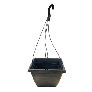 Plastic Square Grower Hanging Basket, 12in, Bronze - Floral Acres Greenhouse & Garden Centre
