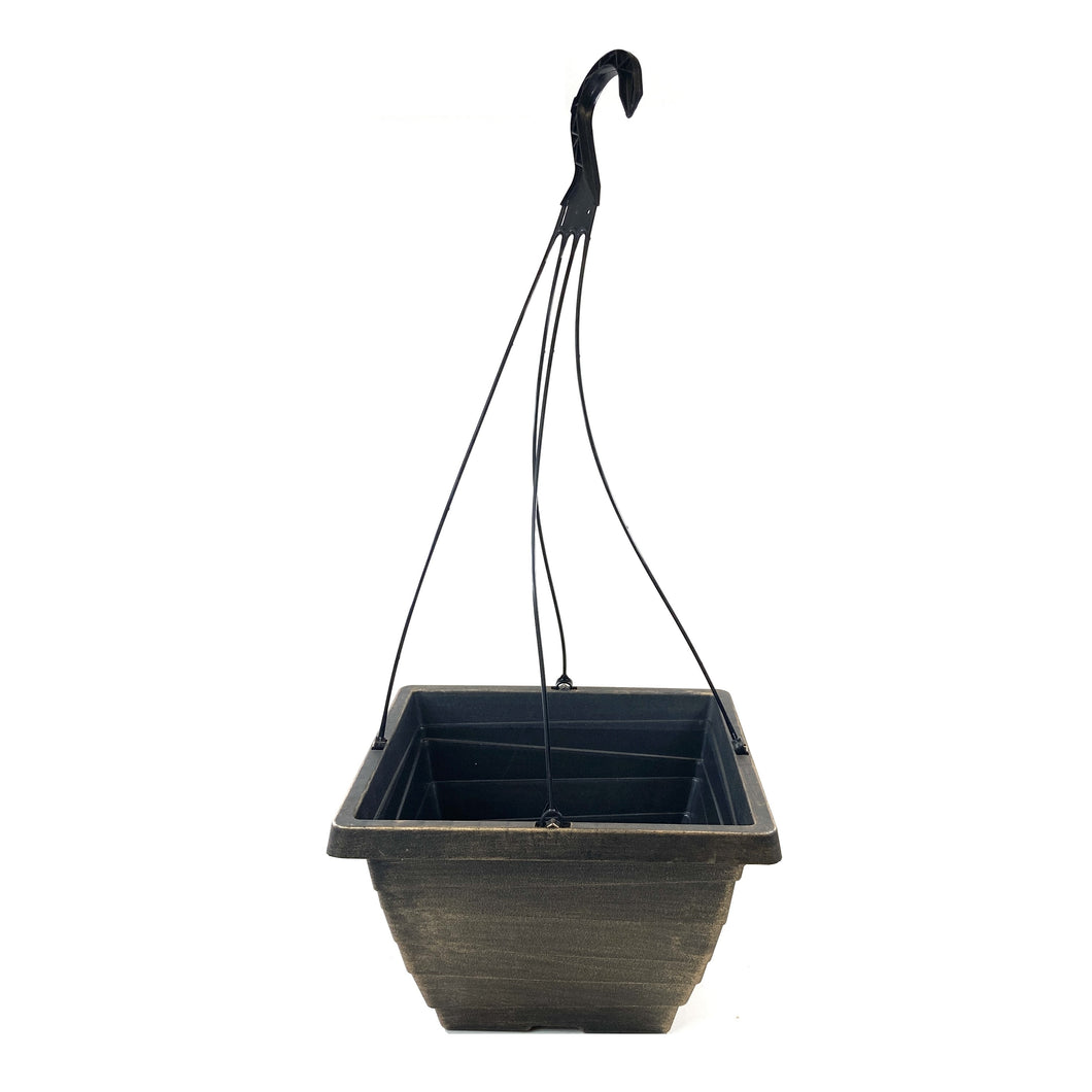 Plastic Square Grower Hanging Basket, 12in, Bronze - Floral Acres Greenhouse & Garden Centre