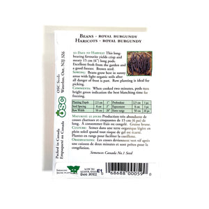 Bean Bush - Royal Burgundy Seeds, OSC - Floral Acres Greenhouse & Garden Centre