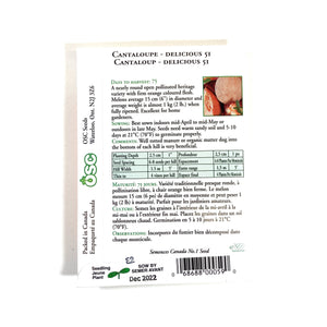 Cantaloupe - Delicious 51 Seeds, OSC - Floral Acres Greenhouse & Garden Centre