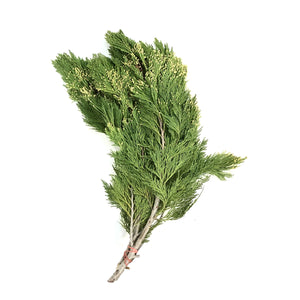 Boughs, Incense Cedar, 3lb, Bunch