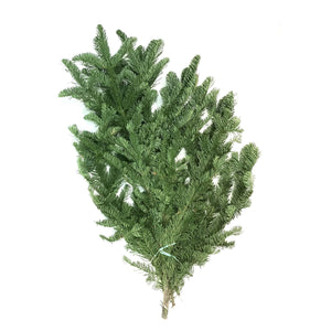 Boughs, Noble Fir, 3lb, Bunch