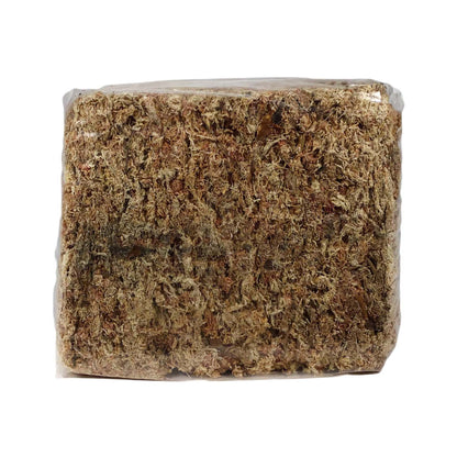 Sphagnum Moss, 500g Pack