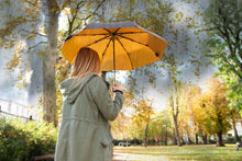 Load image into Gallery viewer, Black &amp; Gold Travel Umbrella
