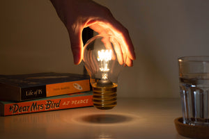 Cordless Lightbulb Lamp