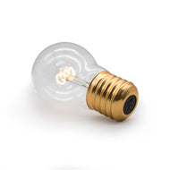 Cordless Lightbulb Lamp