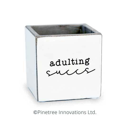 Pot, 2.5in, Cement, Adulting Succs Square