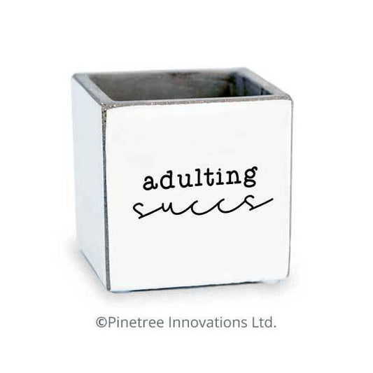 Pot, 2.5in, Cement, Adulting Succs Square