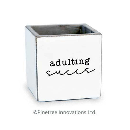 Pot, 2.5in, Cement, Adulting Succs Square