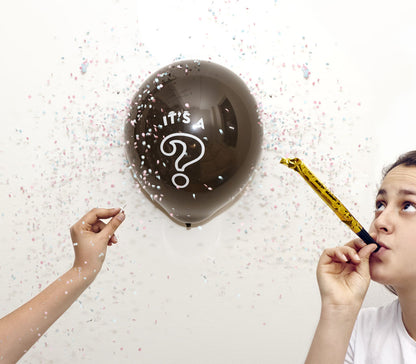 Baby Gender Reveal Kit