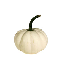 Load image into Gallery viewer, Mini Pumpkins
