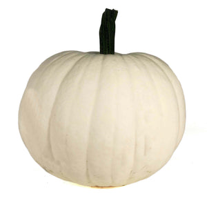 White Pumpkins